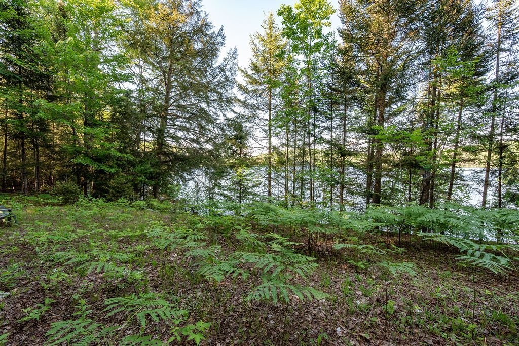 Water access - 28 Ch. Mitchell, Otter Lake, QC