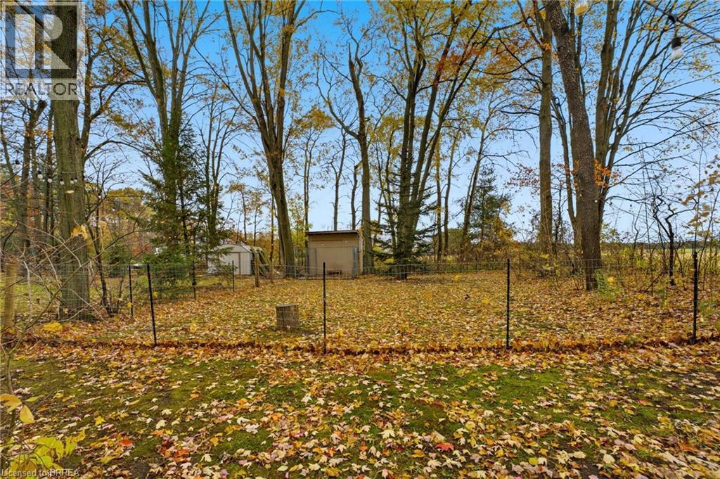 Expansive backyard featuring a lush lawn, mature trees, and a utility shed - 271 Windham Rd 14, Simcoe, ON