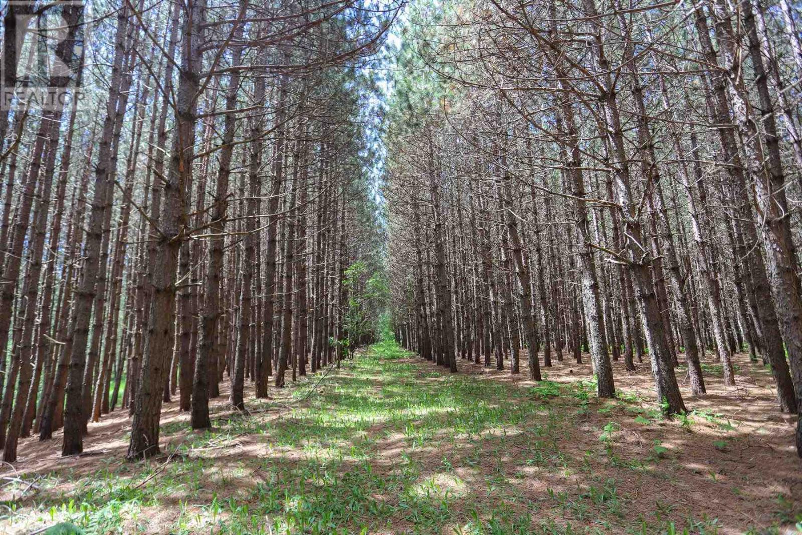 2370 Base Line Rd, Prince Township, ON - Outdoor With View