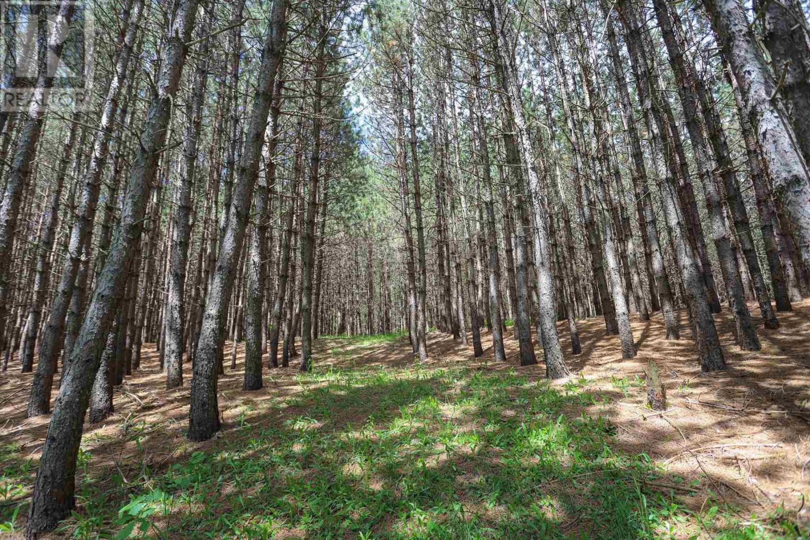 2370 Base Line Rd, Prince Township, ON - Outdoor With View