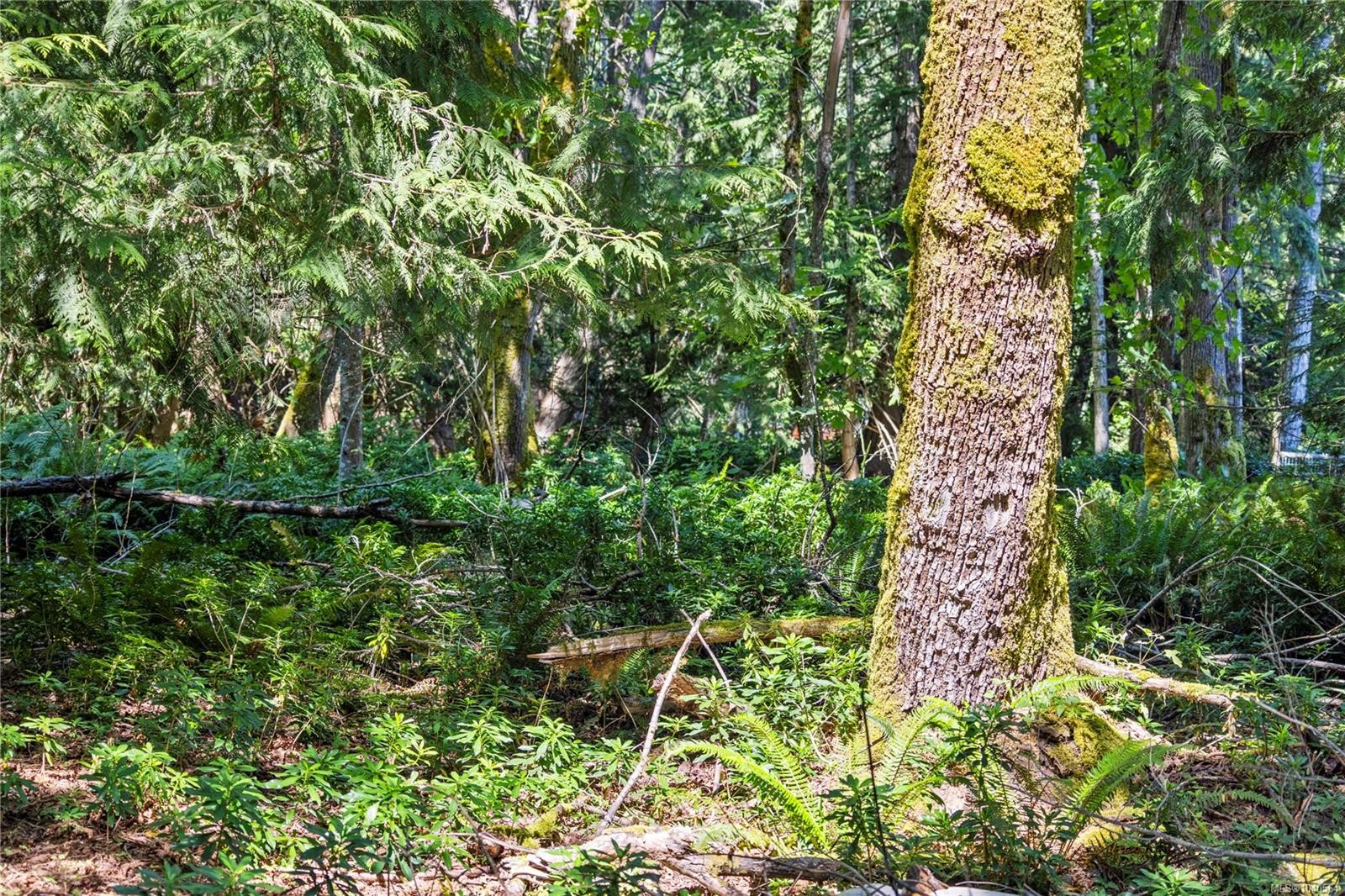 10056 Victoria Rd, Chemainus, BC
