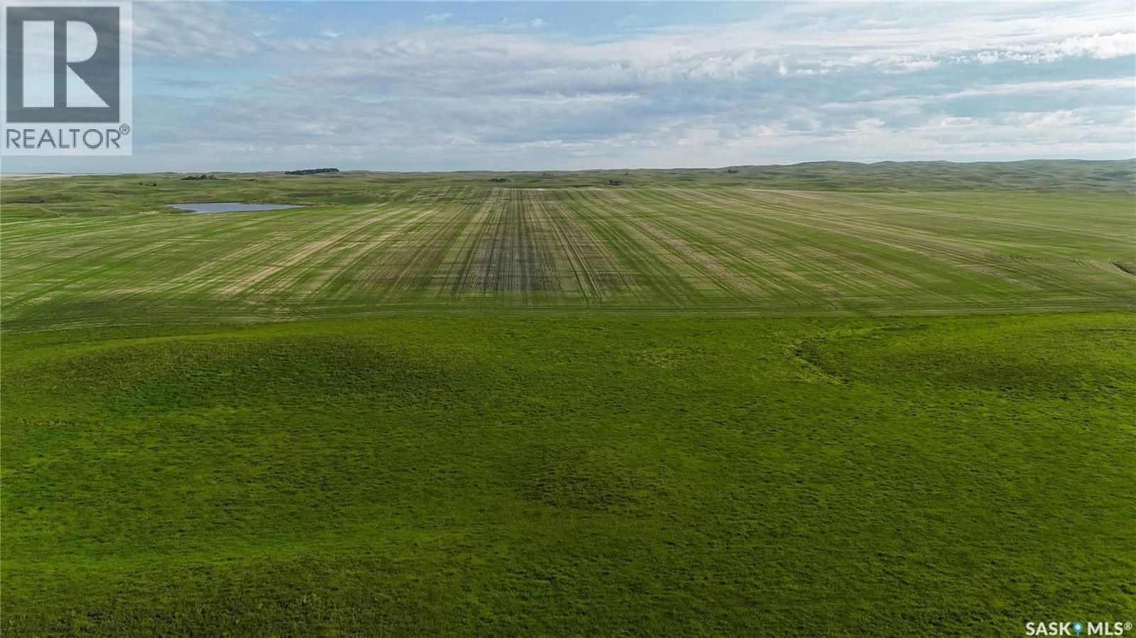 Leaman Farm, Chaplin Rm No. 164, SK