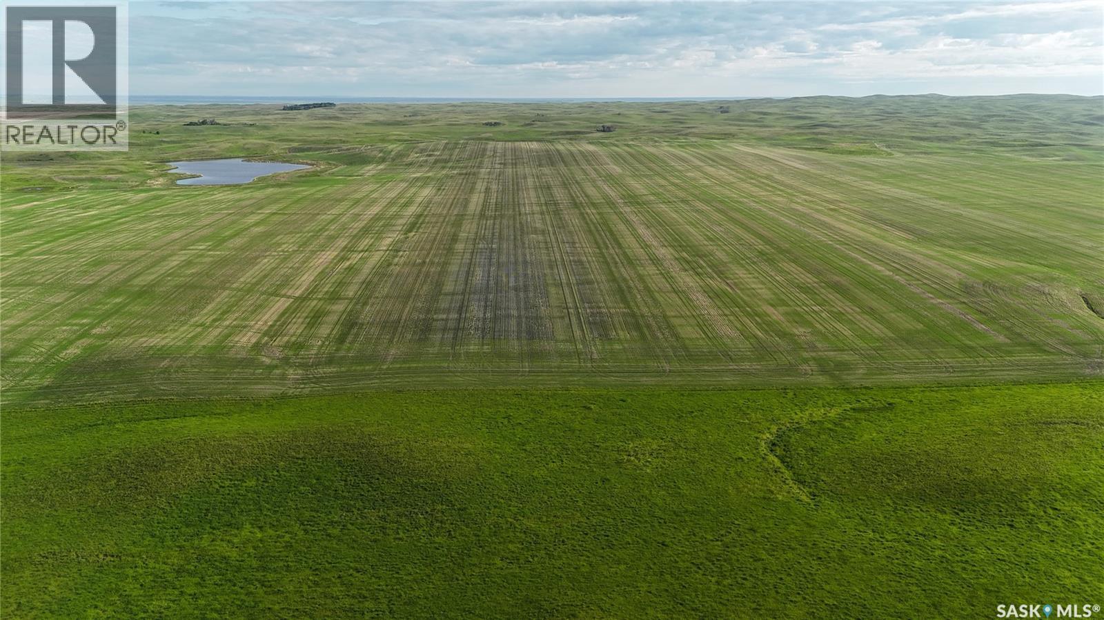 Leaman Farm, Chaplin Rm No. 164, SK