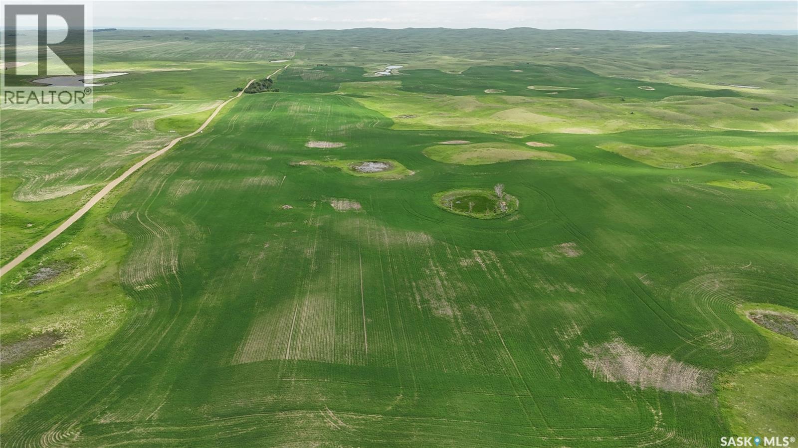 Leaman Farm, Chaplin Rm No. 164, SK