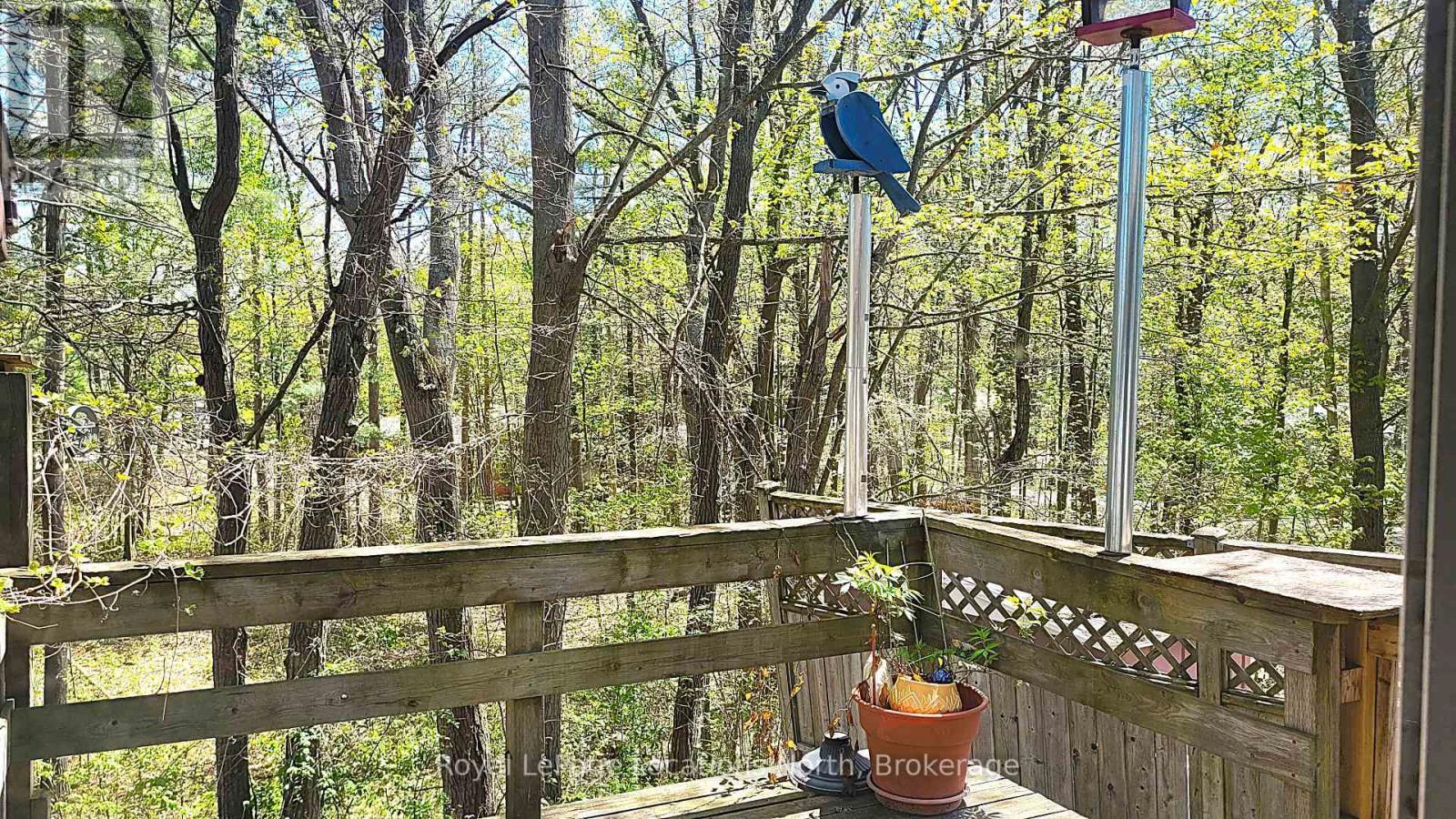 View from back deck - 25 Balmoral Avenue, Tiny, ON