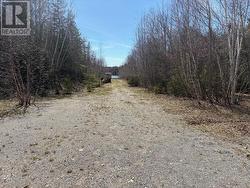 141 Brownlee RD Thessalon, ON P0R 1L0