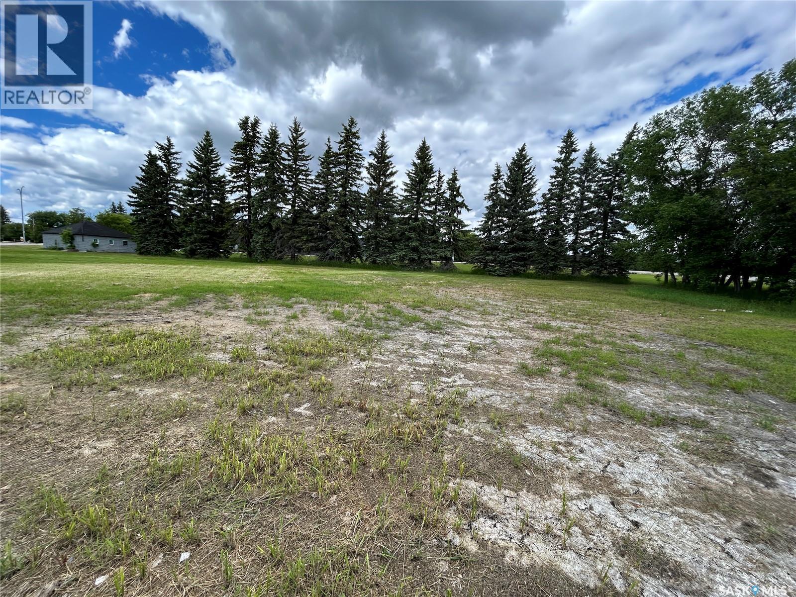 119 Main Street, Lanigan, SK
