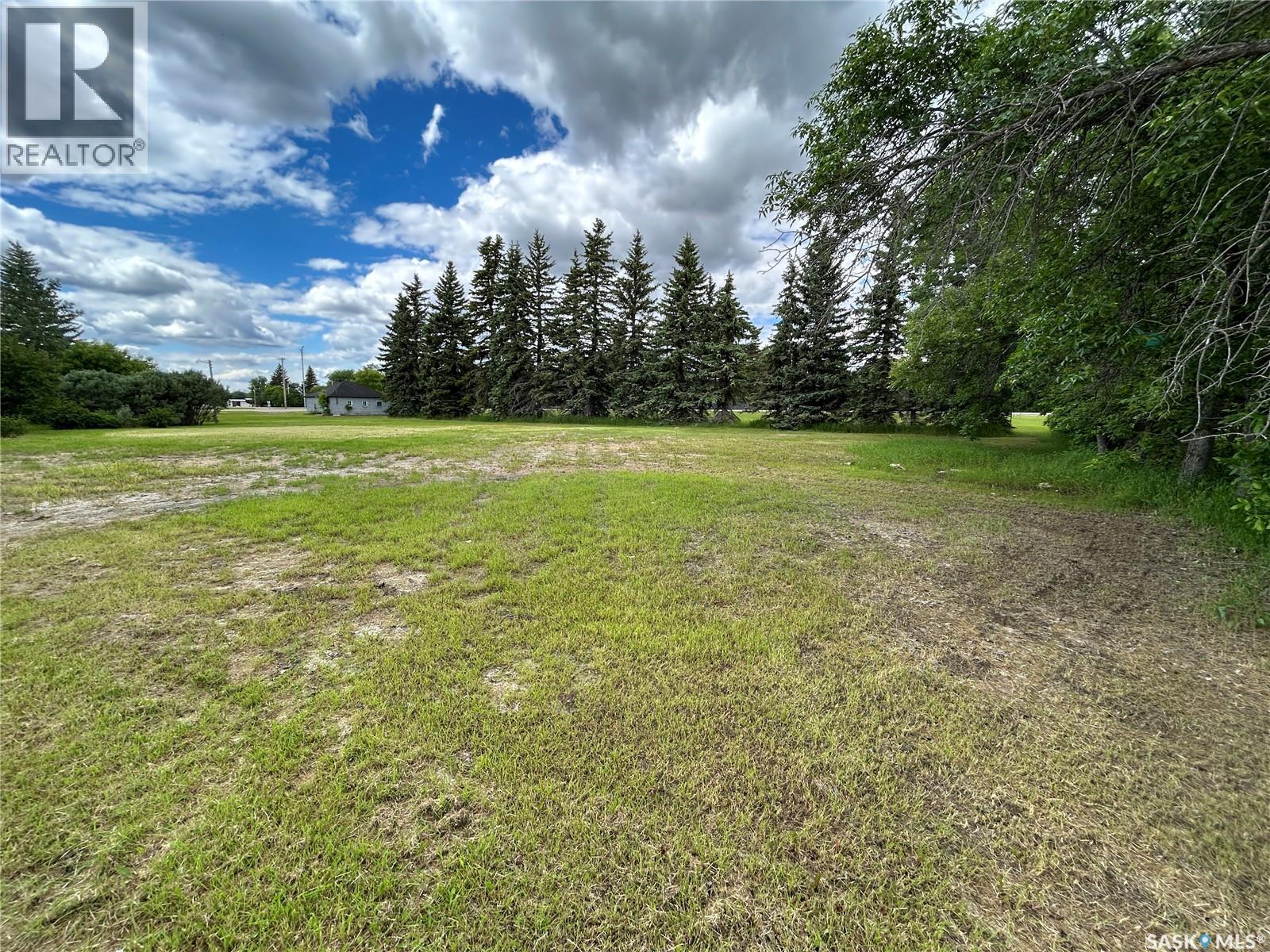 119 Main Street, Lanigan, SK