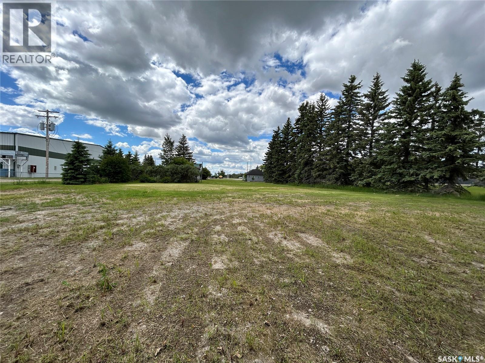 119 Main Street, Lanigan, SK