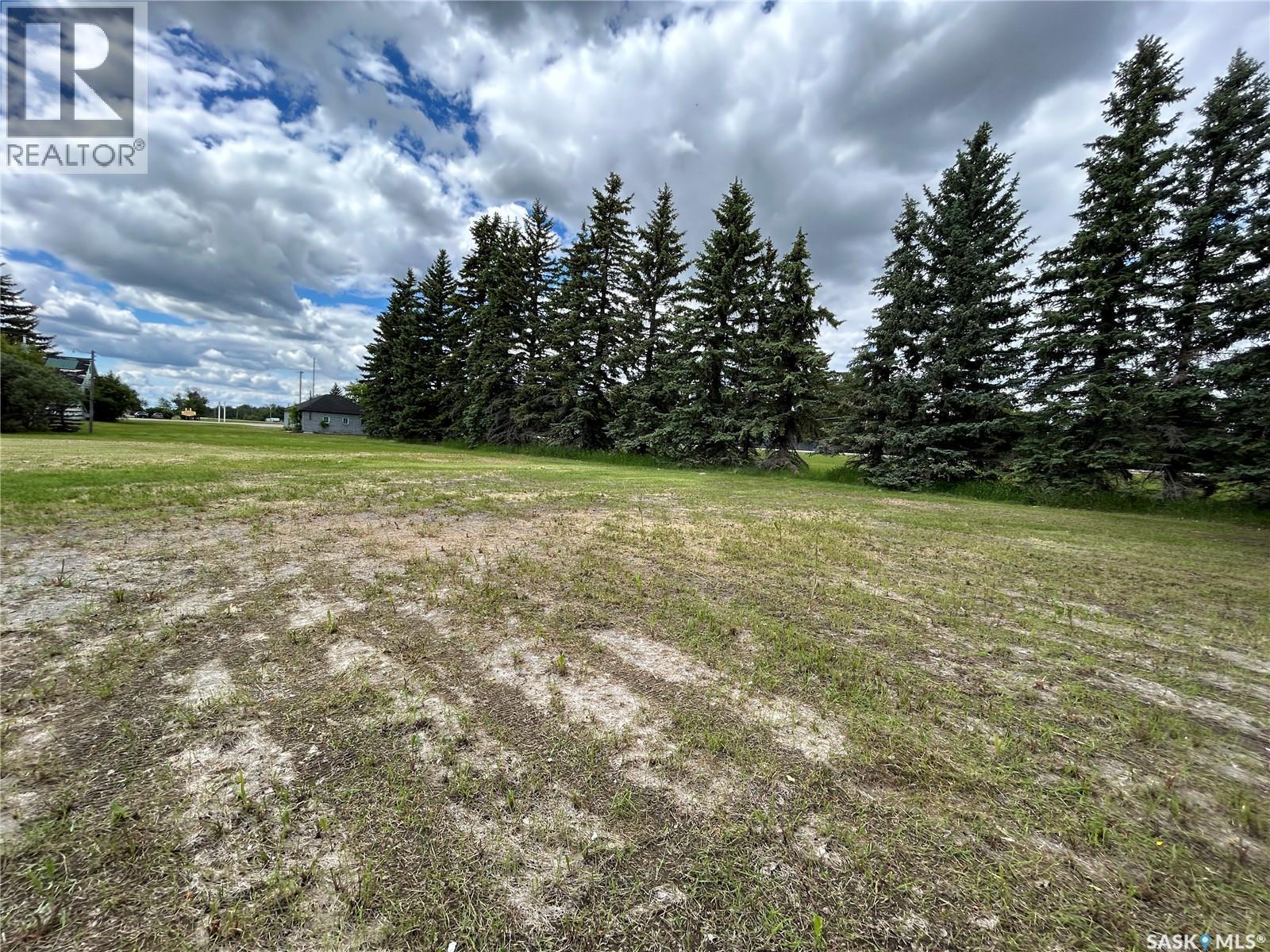 119 Main Street, Lanigan, SK