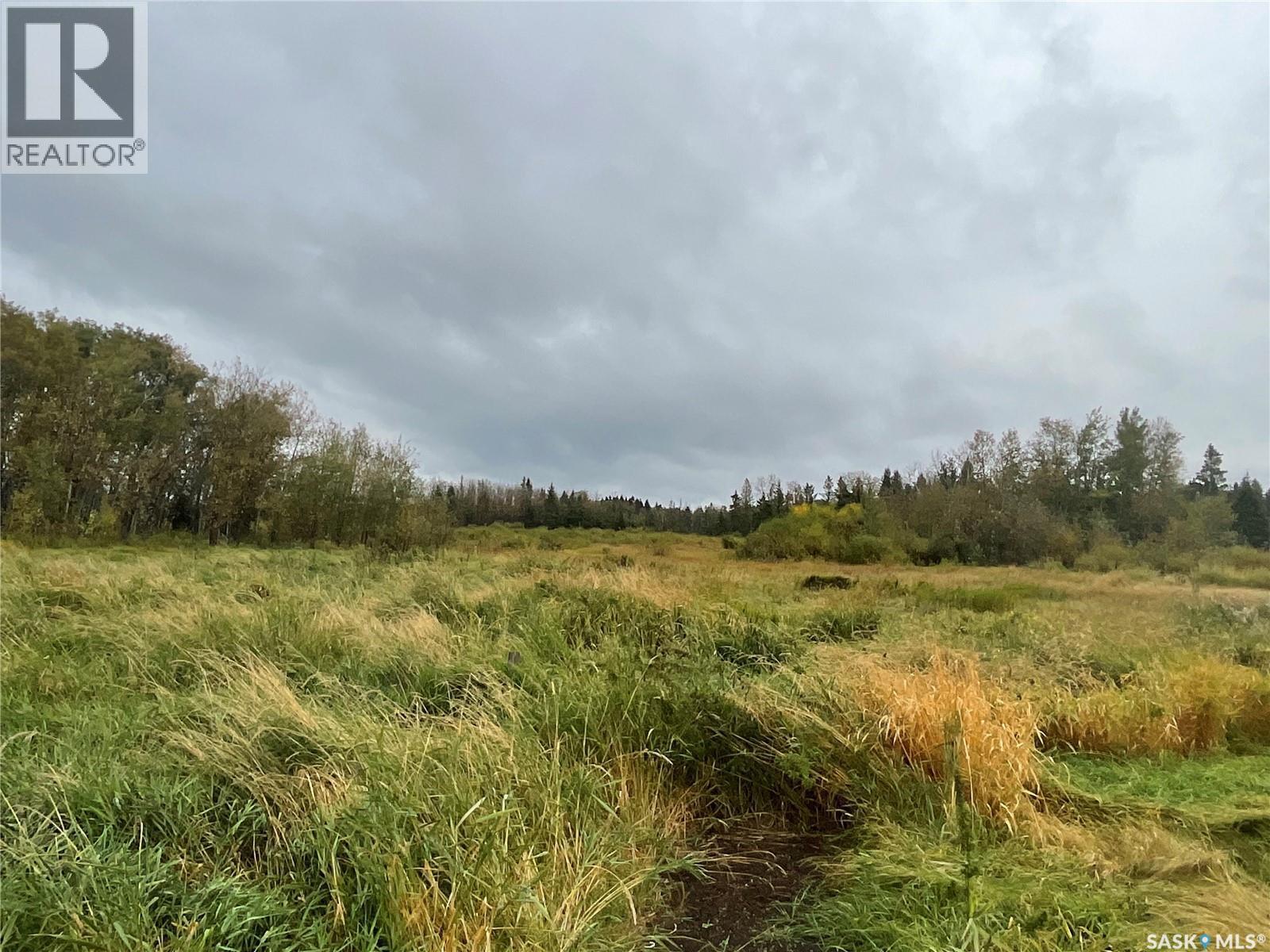 Picard Acreage, Paddockwood Rm No. 520, SK