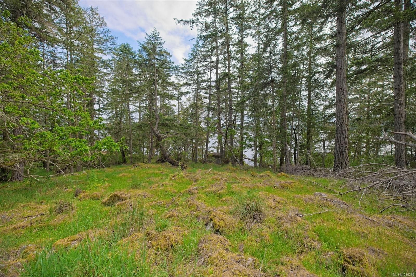157 Menhinick Dr, Salt Spring, BC