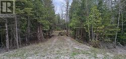 43 HARDWICK COVE ROAD Northern Bruce Peninsula, ON N0H 1W0