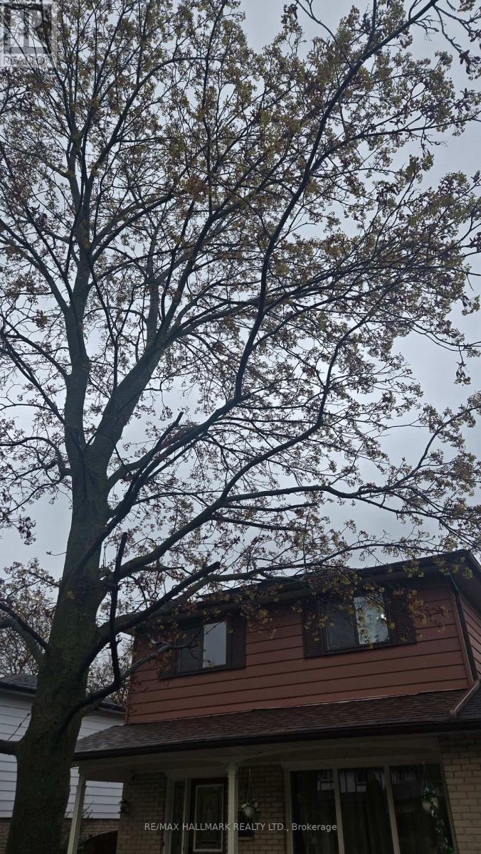 Lower Level - 106 Springdale Crescent, Oshawa, ON - Outdoor With View