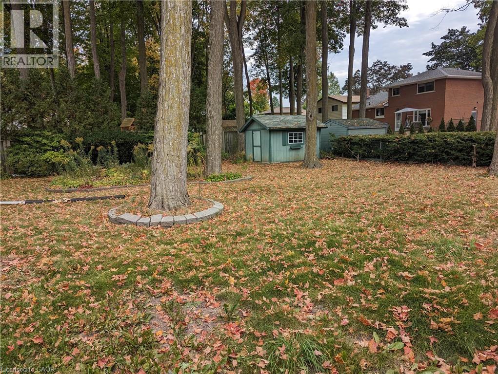 Expansive grassy yard with mature trees and a hedgerow. Shed has been removed. - 462 Hazel Street, Waterloo, ON