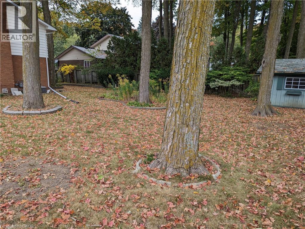 Mature trees provide natural shade for the expansive backyard - 462 Hazel Street, Waterloo, ON