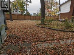Spacious backyard featuring a wood fence, mature trees, concrete patio area, and defined planting beds -
