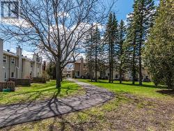 Backyard enjoy the setting and all the birds! -
