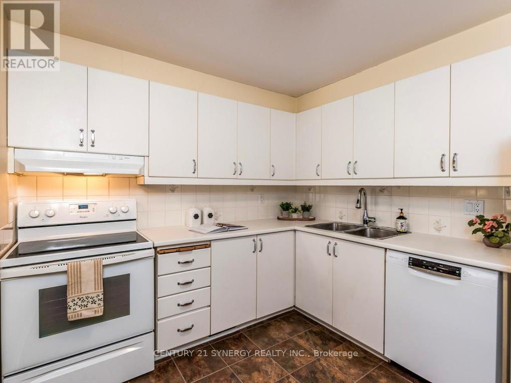 Kitchen with fridge,stove,dishwasher included. - 80 - 22C Maple Ridge Crescent, Ottawa, ON - Indoor Photo Showing Kitchen With Double Sink