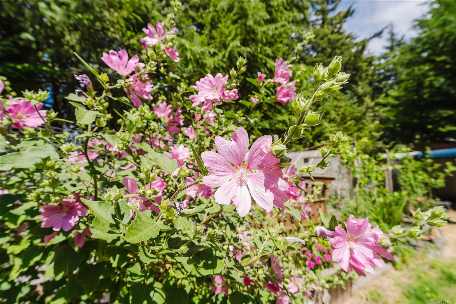 2925 Marshall Rd, Qualicum Beach, BC
