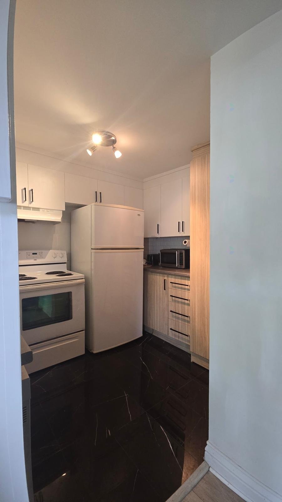 Kitchen - 203-203 Rue Lafleur, Montréal (Verdun/Île-Des-Soeurs), QC