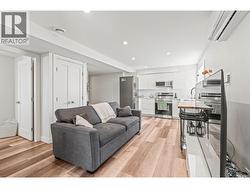 Lower Suite-living room -