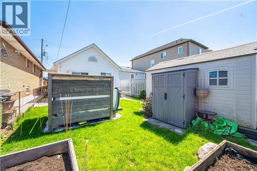 Expansive green lawn featuring a privacy fence, a garden shed with an arched window, and raised garden beds - 71 Beland Avenue N, Hamilton, ON 