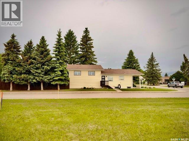 31 Birch Place, Lanigan, SK