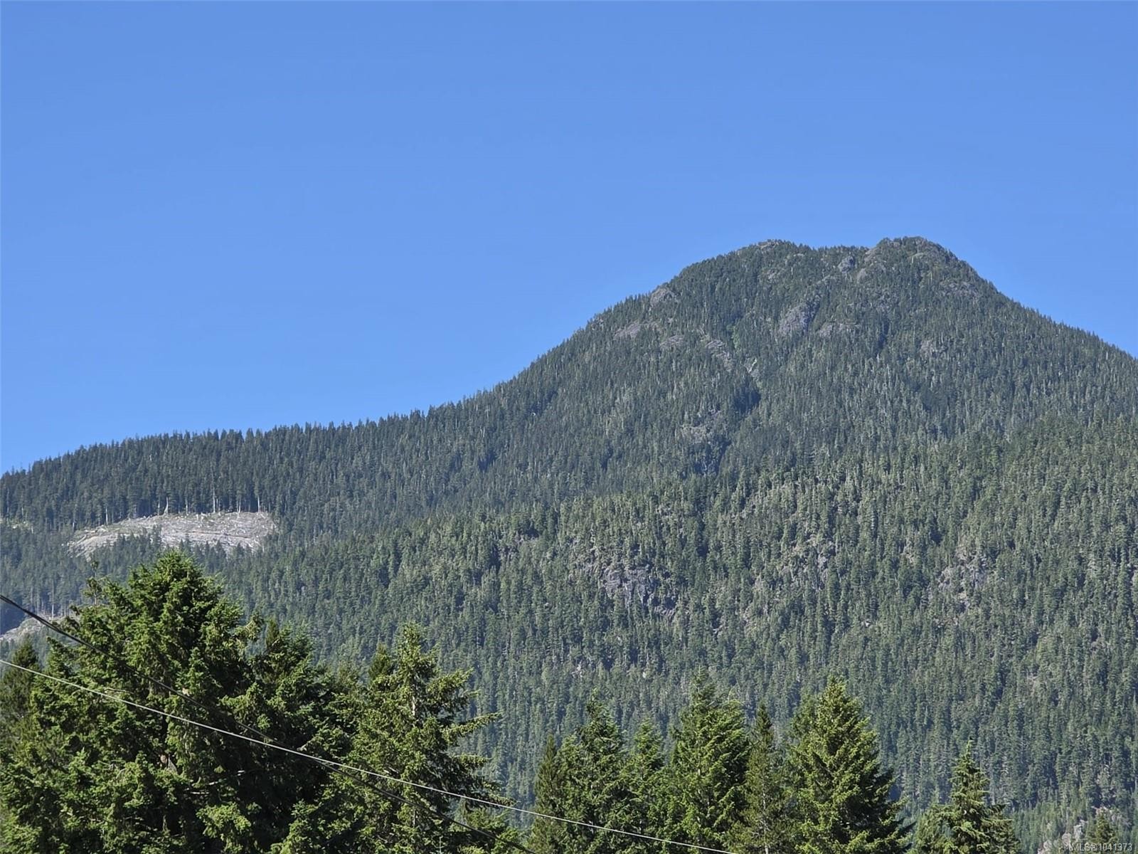 62 Kinman Ave, Woss, BC