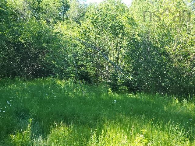 Ridge Road, North Range, NS