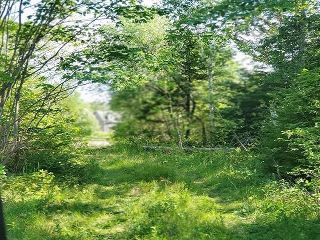 Ridge Road, North Range, NS