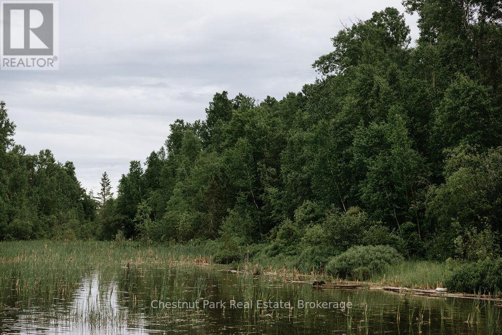 447 Fox Run, Temagami, ON