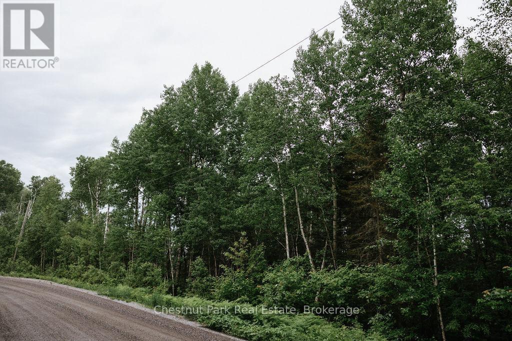 447 Fox Run, Temagami, ON