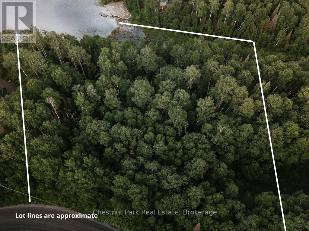 447 Fox Run, Temagami, ON