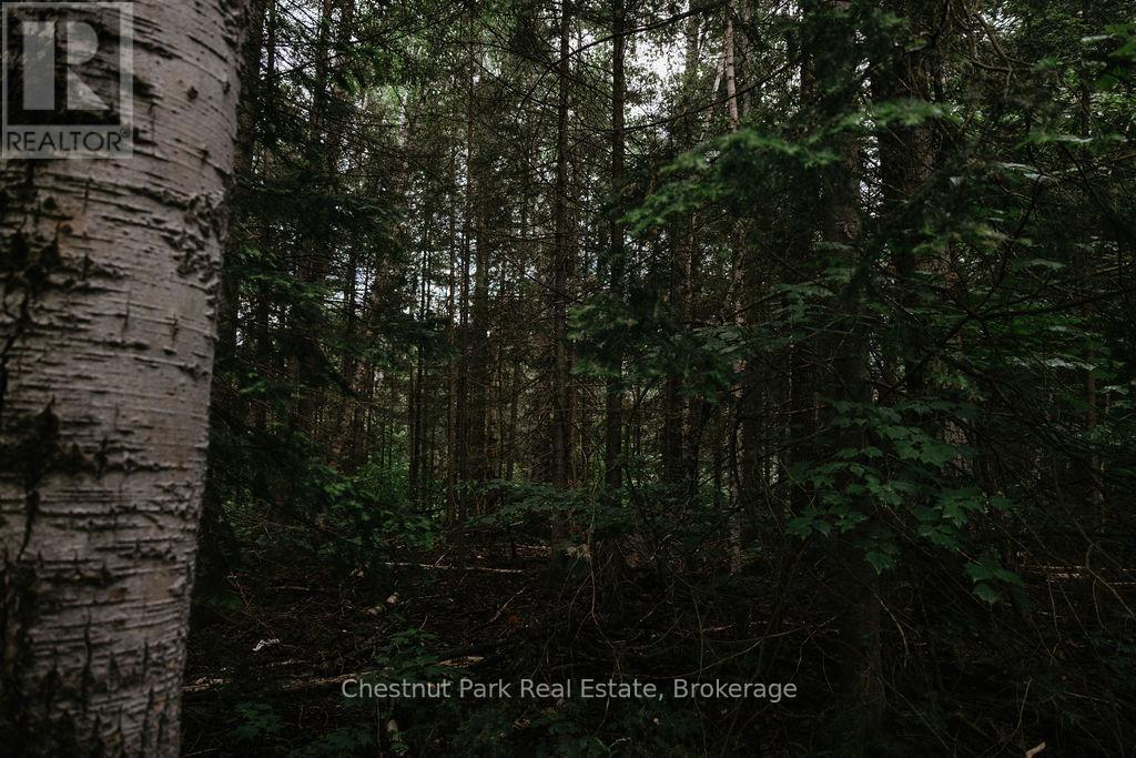 447 Fox Run, Temagami, ON