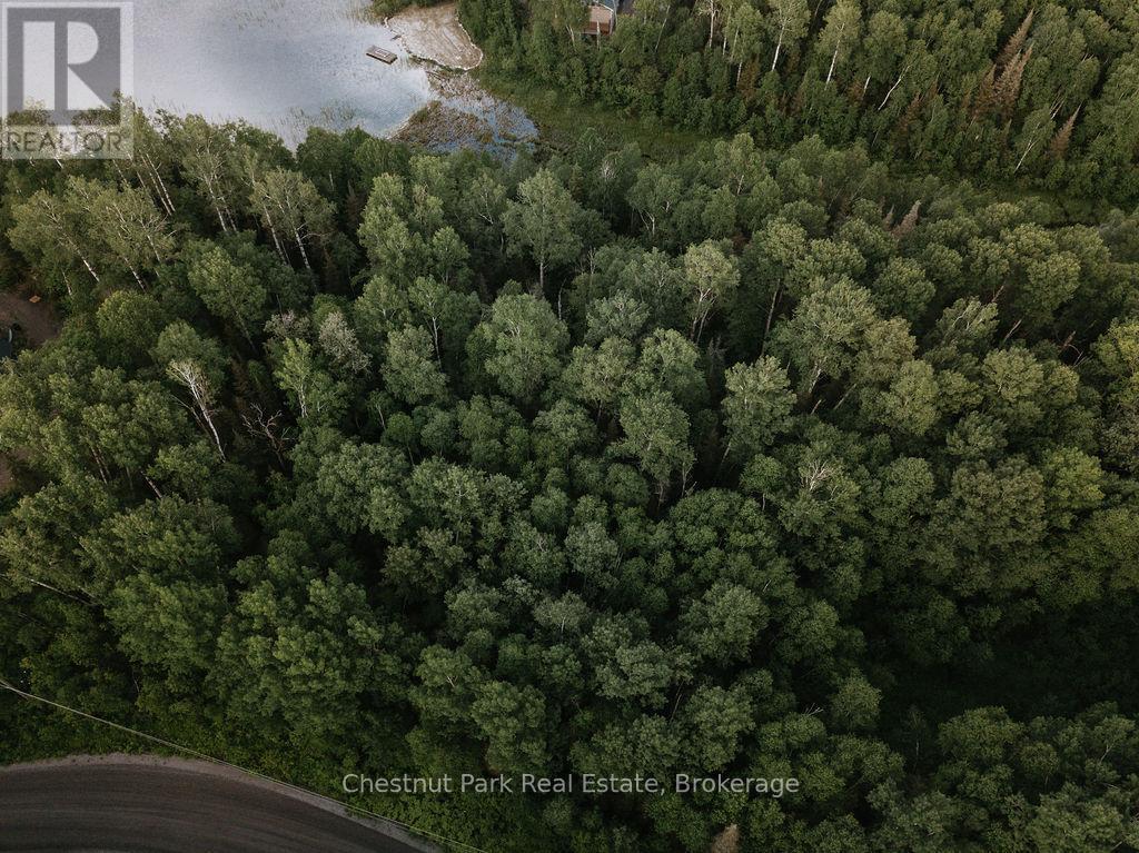 447 Fox Run, Temagami, ON
