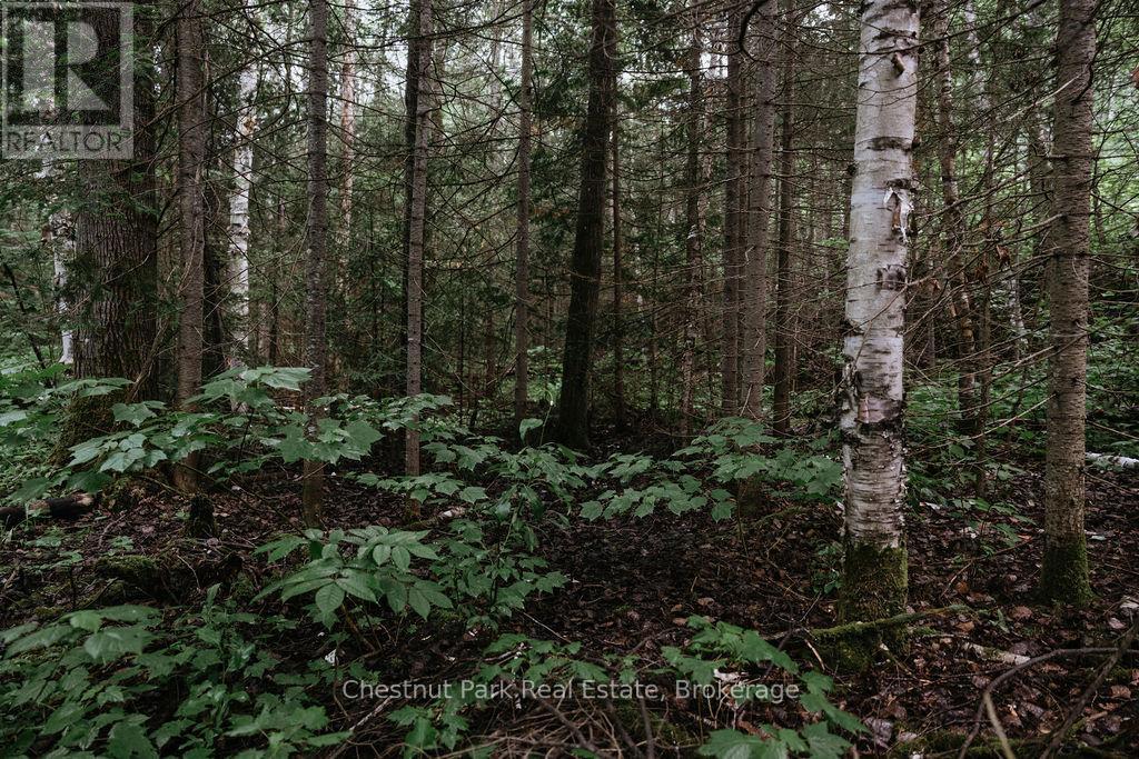 447 Fox Run, Temagami, ON