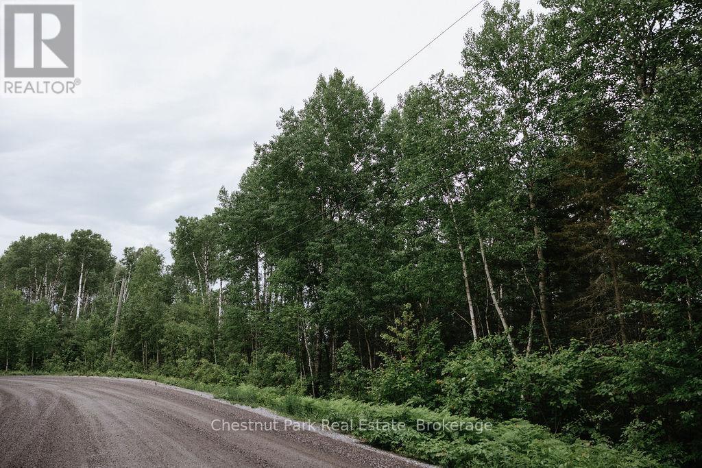 447 Fox Run, Temagami, ON