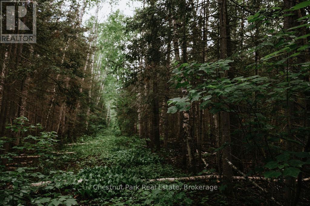 447 Fox Run, Temagami, ON