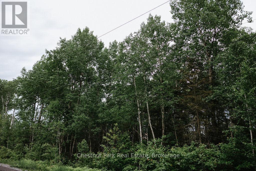 447 Fox Run, Temagami, ON
