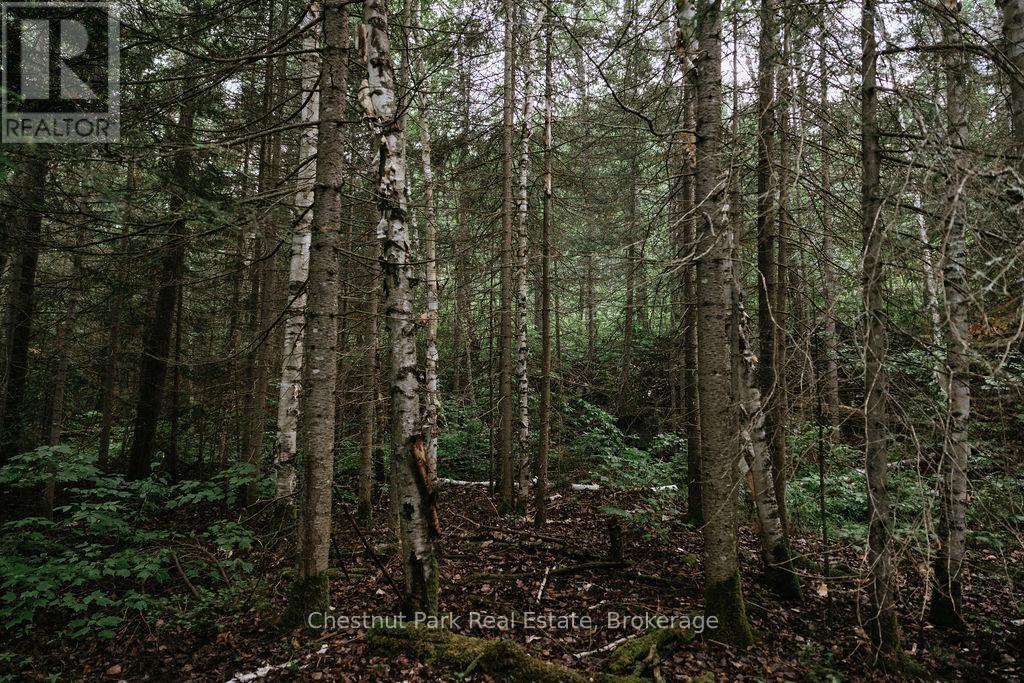 447 Fox Run, Temagami, ON