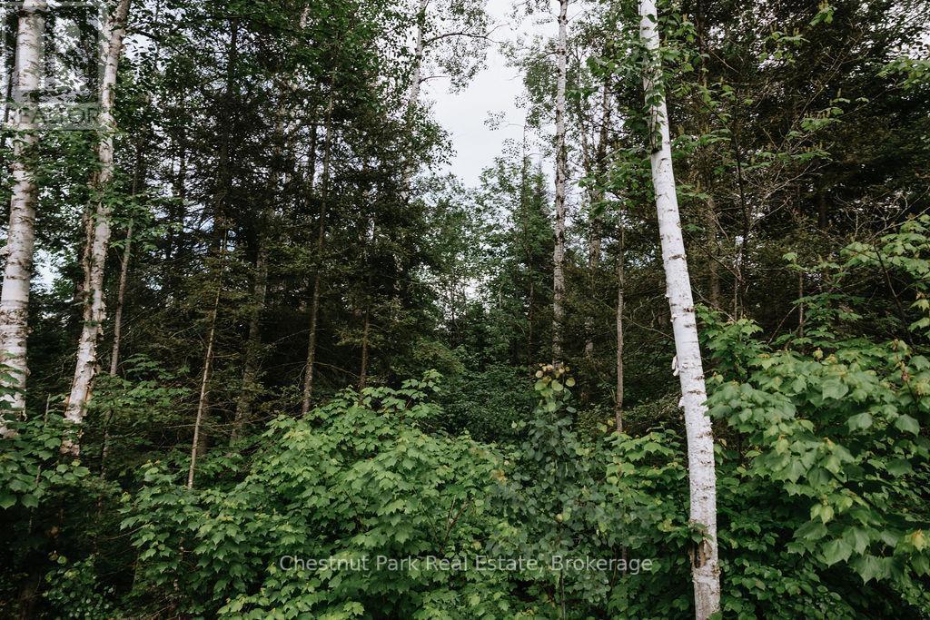 447 Fox Run, Temagami, ON