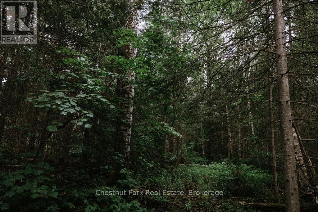 447 Fox Run, Temagami, ON