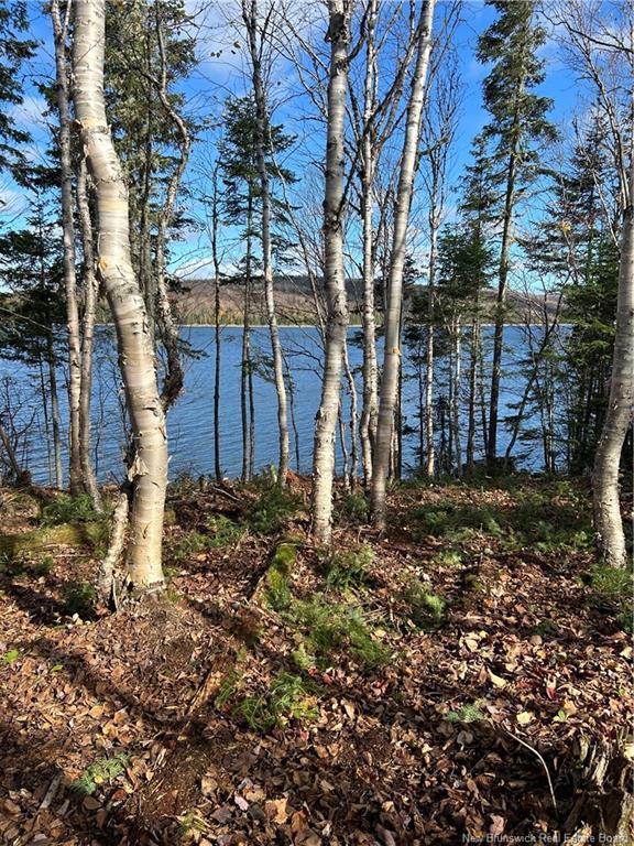 --- Long Lake Rd, Lorne, NB