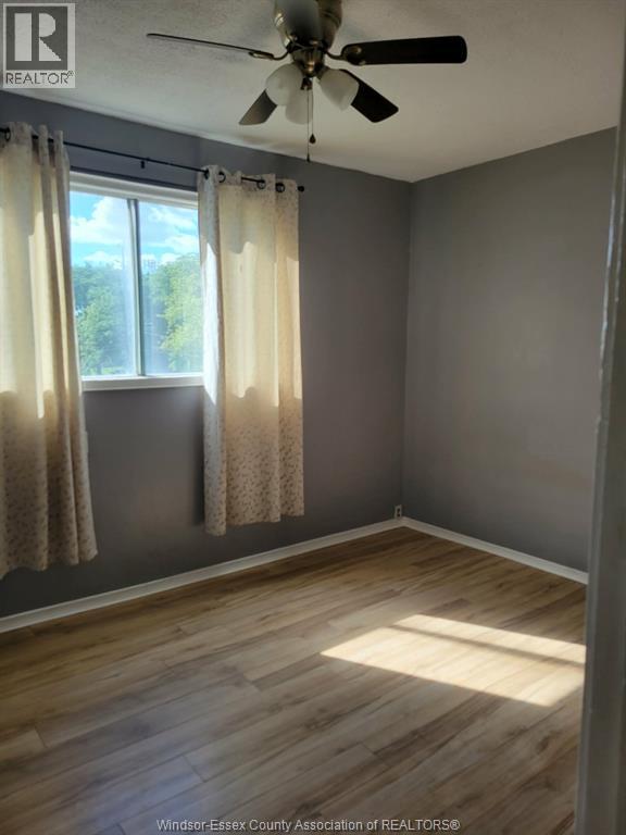 3509 Peter, Windsor, ON