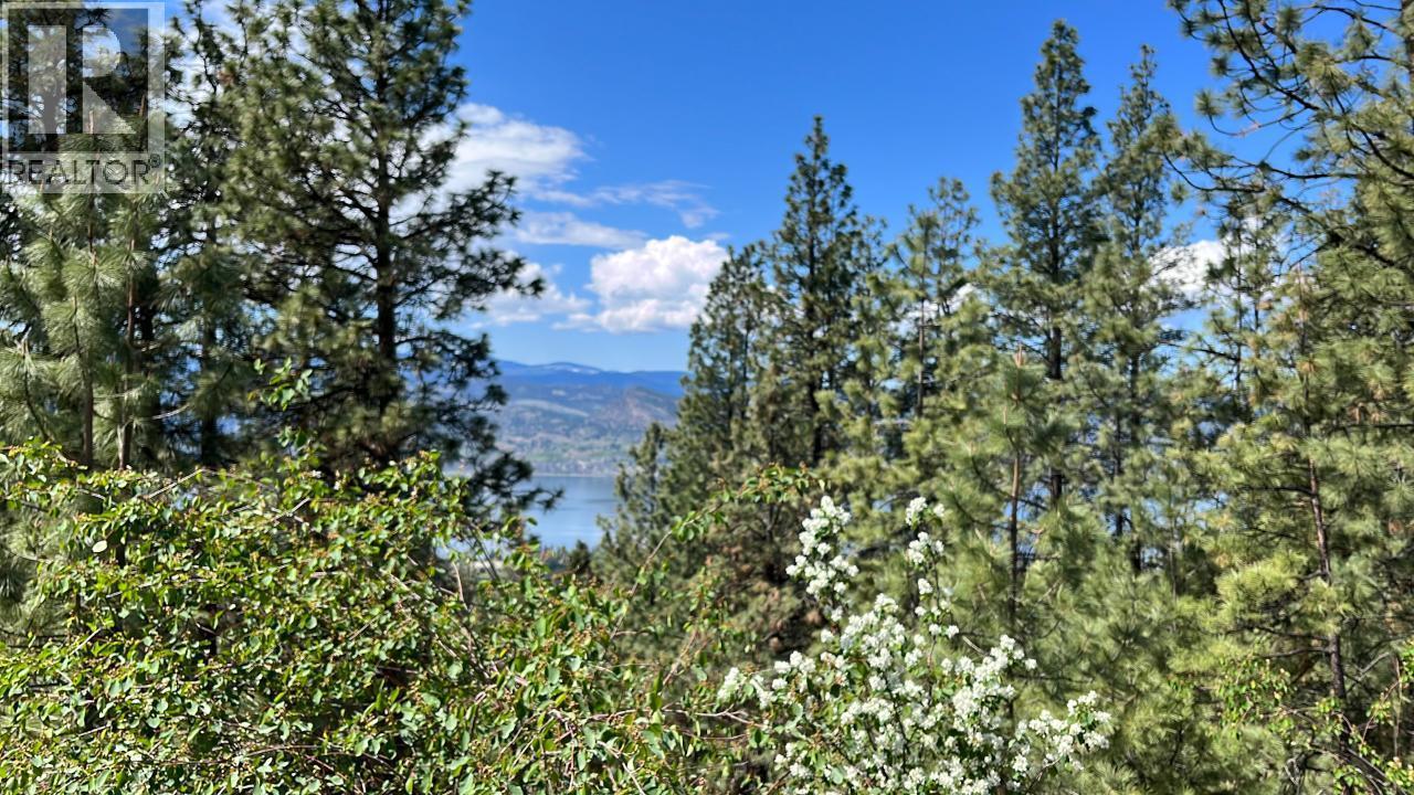 3901 Cottonwood Lane, Naramata, BC - Outdoor With View