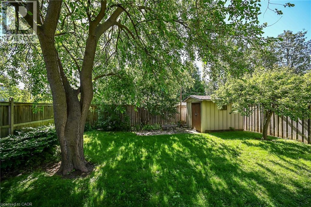 Lush backyard featuring a mature shade tree, manicured lawn, full privacy fencing, and a detached storage shed - 83 Aberfoyle Avenue, Hamilton, ON