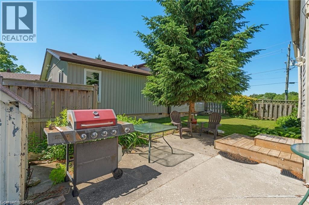 Concrete patio area with a mature evergreen tree, leading to a fenced grass yard - 2 Mill Street E, York, ON