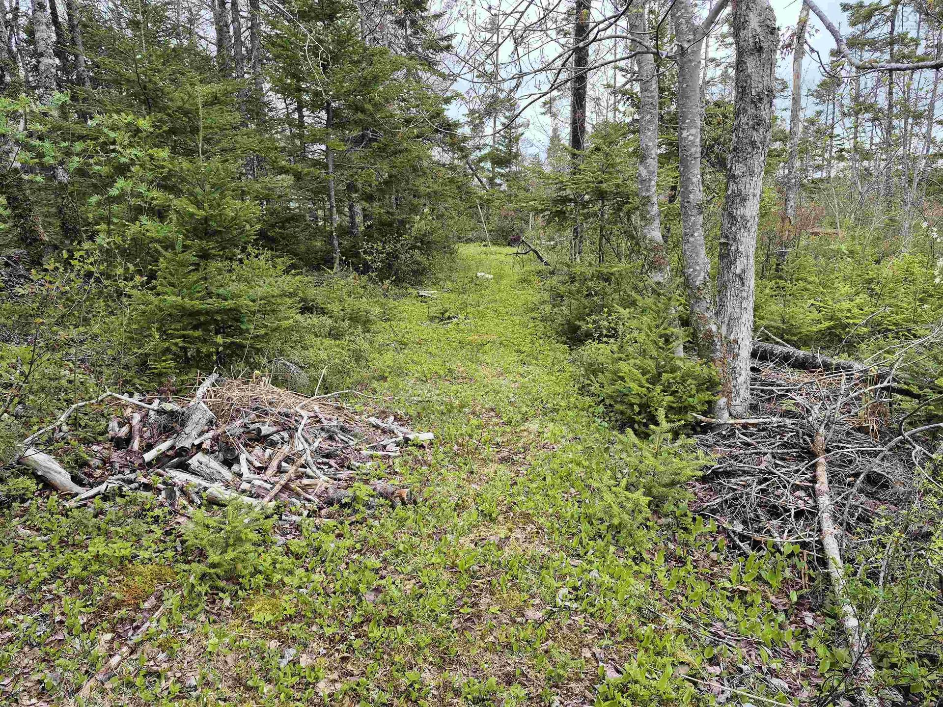 2618 Highway 7, Liscomb, NS