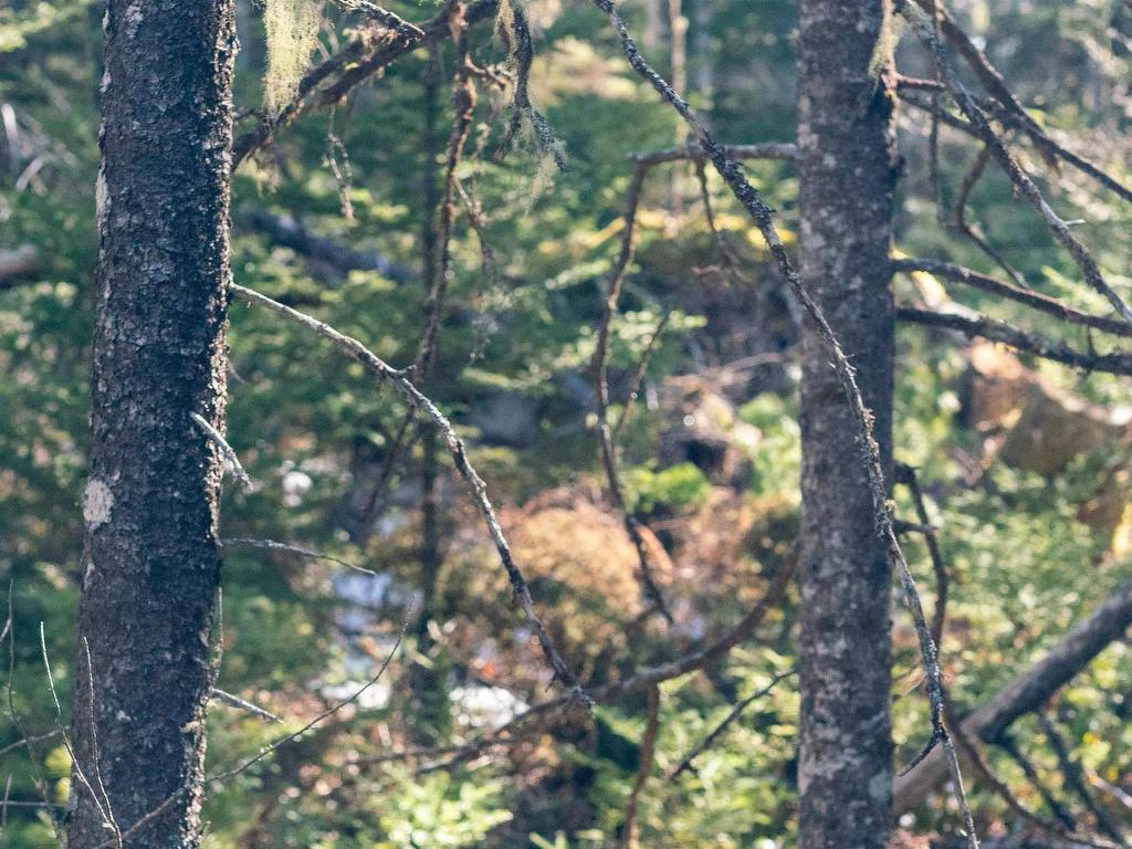 Br-1 Bowers Road, Lower Ohio, NS